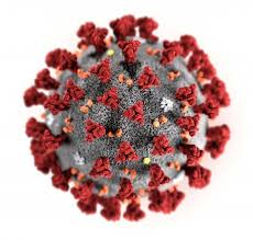 EMERGENZA CORONAVIRUS